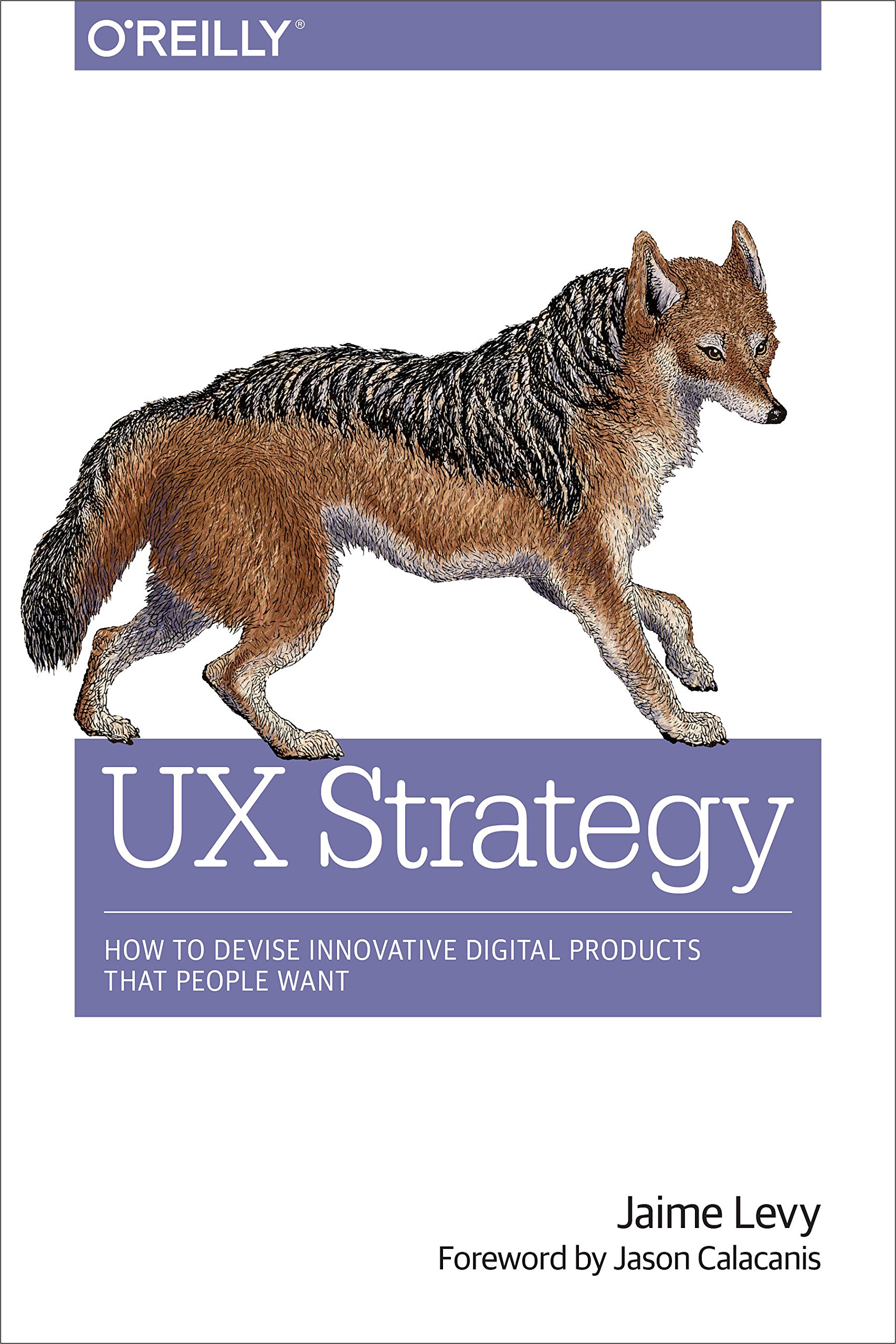UX strategy book cover
